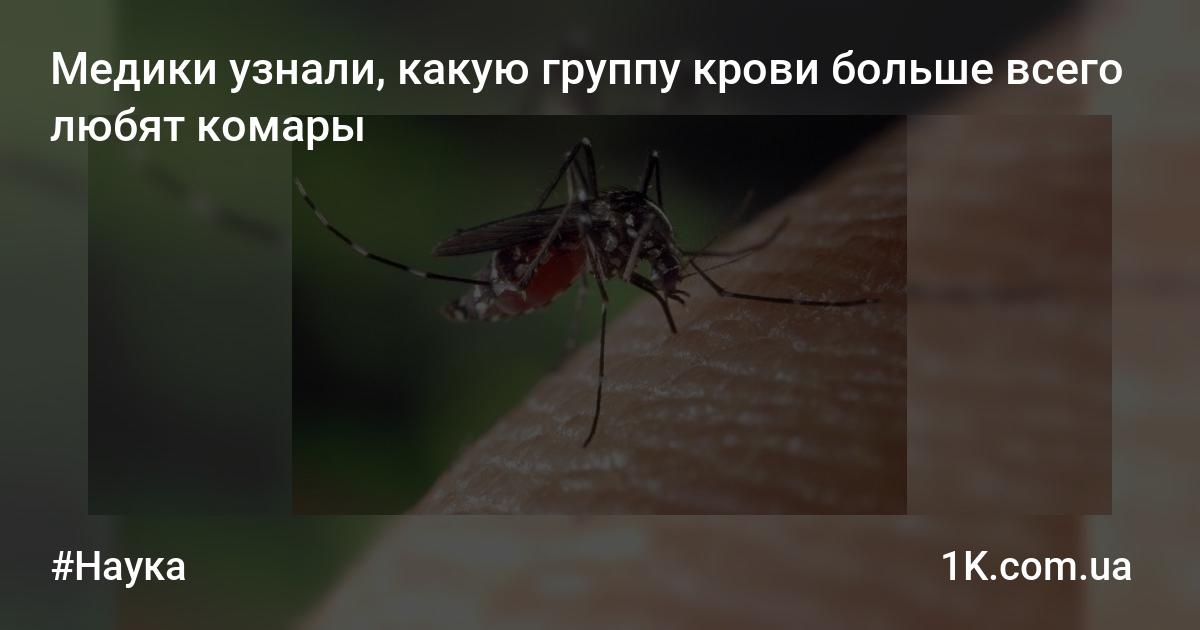 Какую группу крови любят комары: что делать, как спасаться от укусов, видео