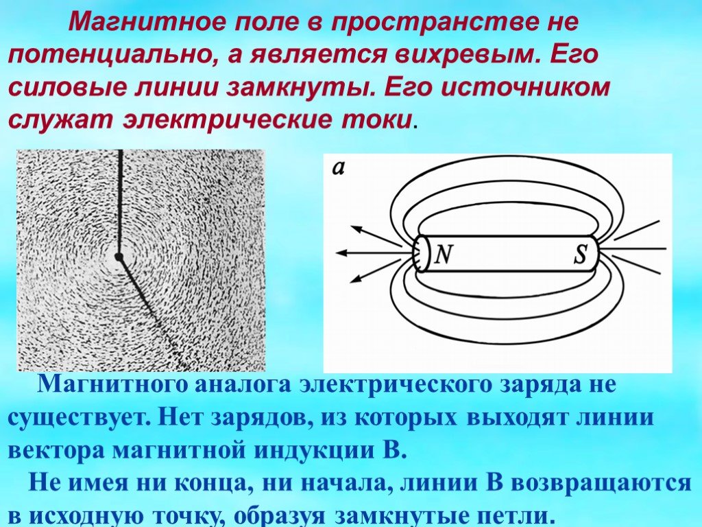 Научные факты о муравьях, которые вас потрясут » notagram.ru