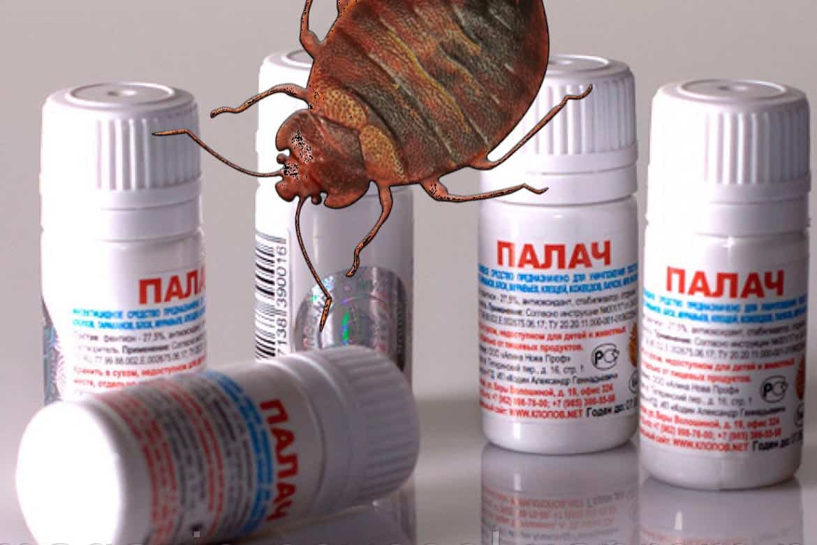 Уничтожение тараканов в спб недорого с гарантией. стоимость дезинфекции от тараканов