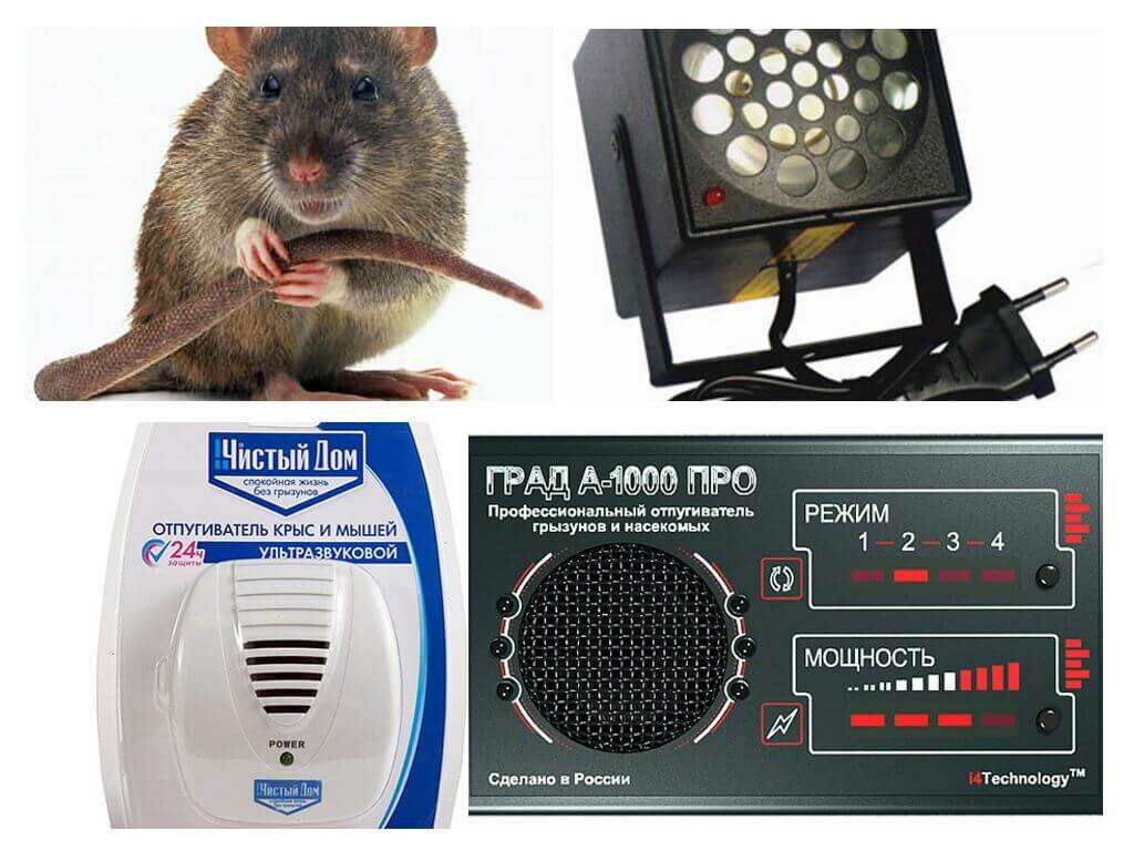 Лучшие отпугиватели крыс и мышей: 5 топовых моделей