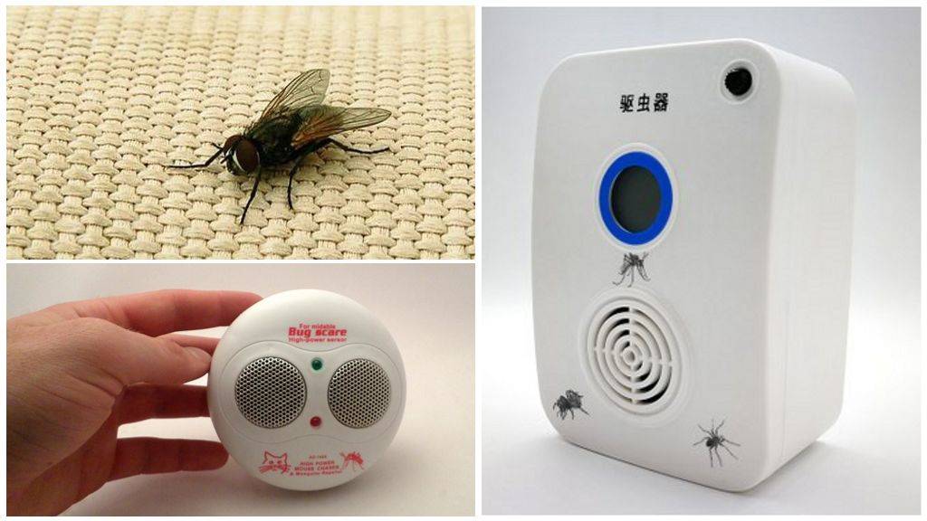 Средства от мух: липкая лента, ультразвуковой отпугиватель и другие виды, как сделать своими руками + отзывы