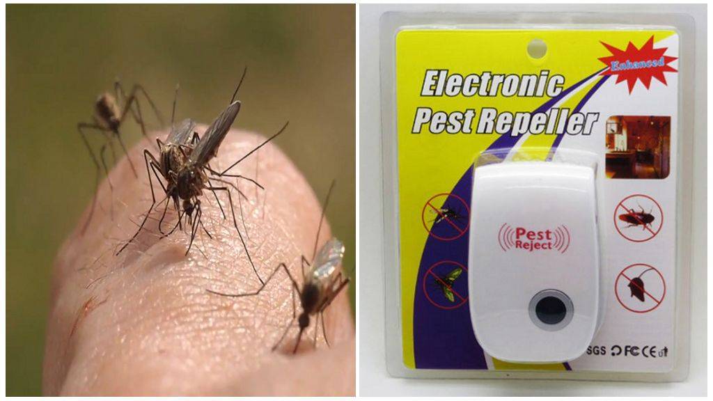 Как действуют популярные отпугиватели комаров