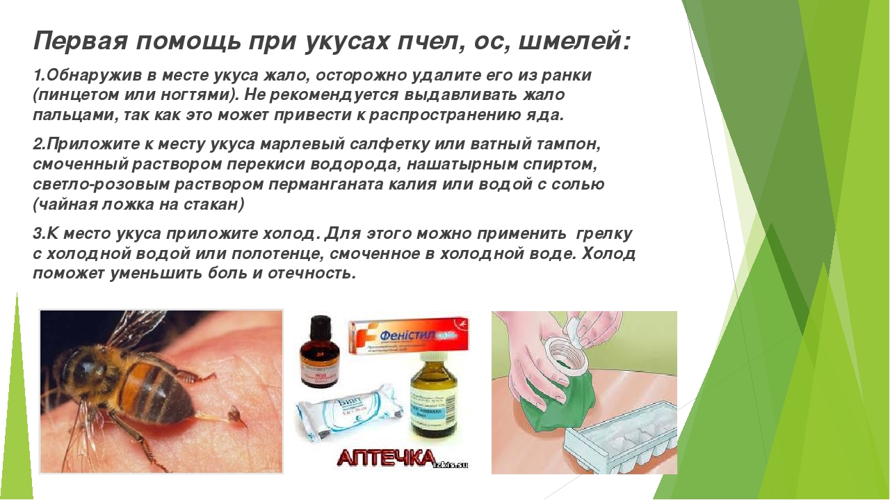 Бактериальные инфекции кожи: какие бывают, как лечить