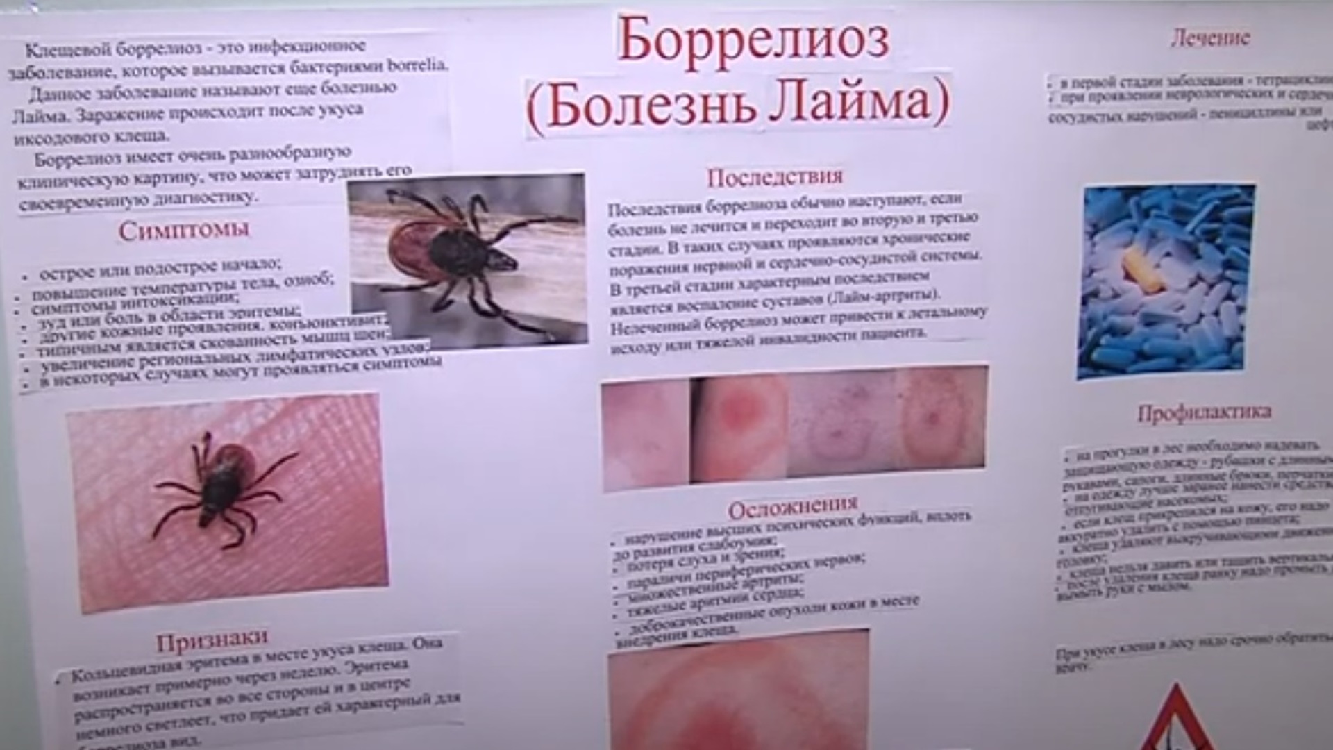❶ 80 адресов клиник, куда можно сдать клеща в субъектах российской федерации