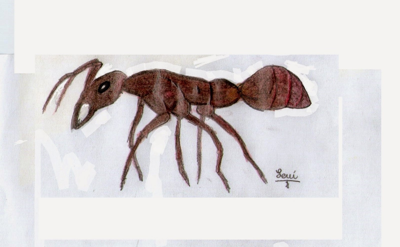 К чему снится муравей. видеть во сне муравей - сонник дома солнца