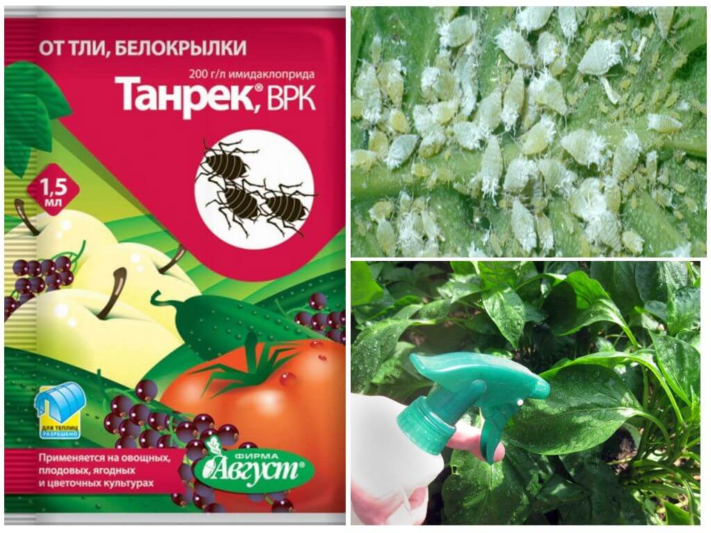 Танрек, врк (инсектициды и акарициды, пестициды) — agroxxi