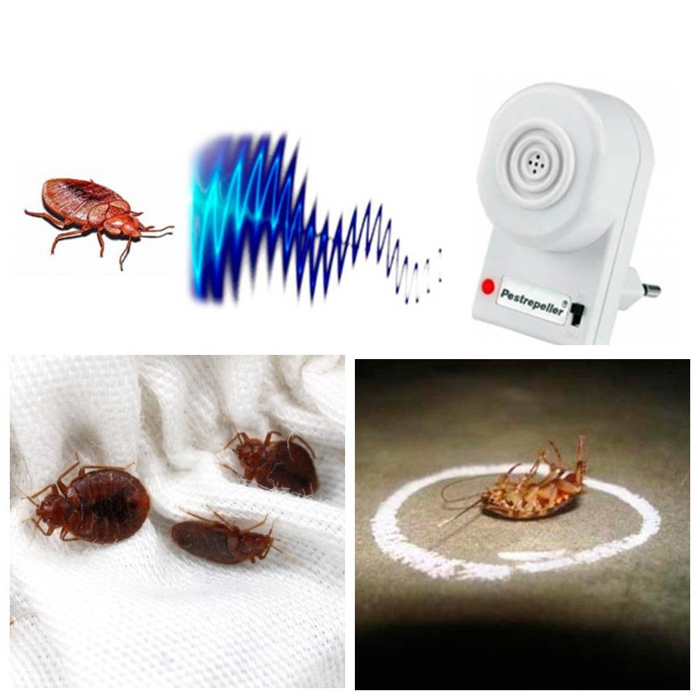 Ультразвуковой отпугиватель насекомых: что это такое, как им правильно пользоваться, виды, обзор популярных моделей, их плюсы и минусы