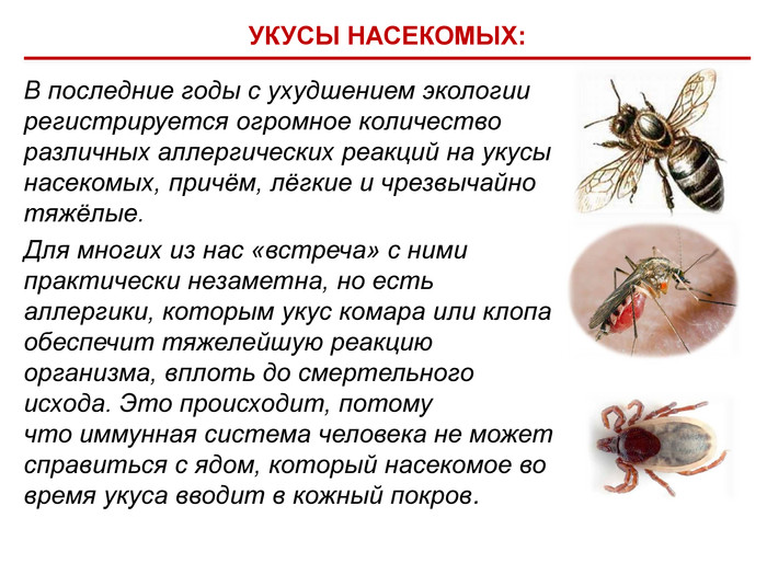 Чем опасен укус осы?