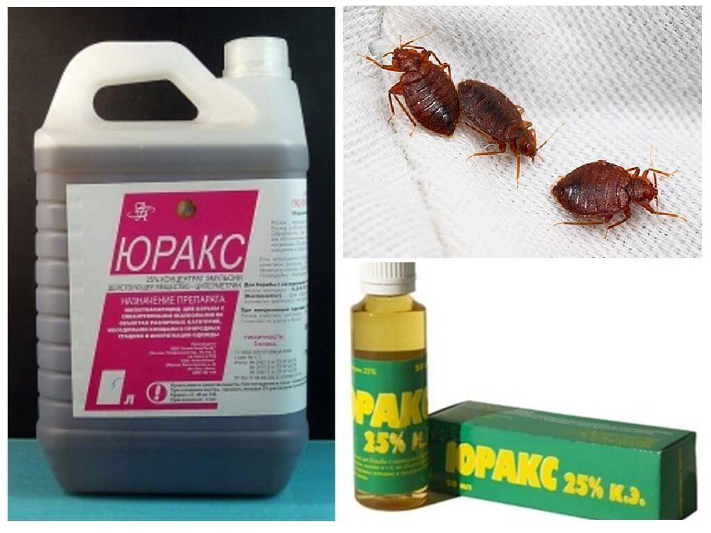 Юракс от клещей, тараканов, муравьев: инструкция по применению, меры предосторожности