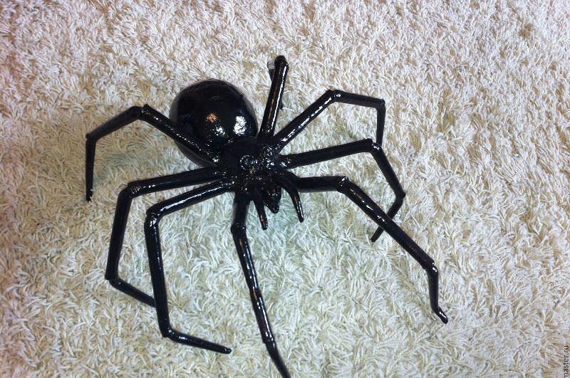 Описание паука черная вдова: фото, место обитания, размеры, питание