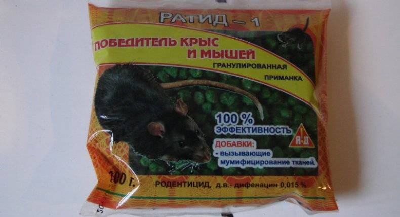 Как избавиться от крыс в курятнике: эффективные народные способы и яды