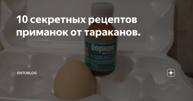 Борная кислота от тараканов - рецепт с яйцом: отзывы, пропорции
борная кислота от тараканов - рецепт с яйцом: отзывы, пропорции