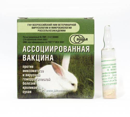 Какие прививки и когда делать кроликам?