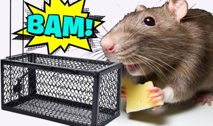 Swissinno (свиссинно) solutions supercat vole trap ловушка для кротов, 1 шт