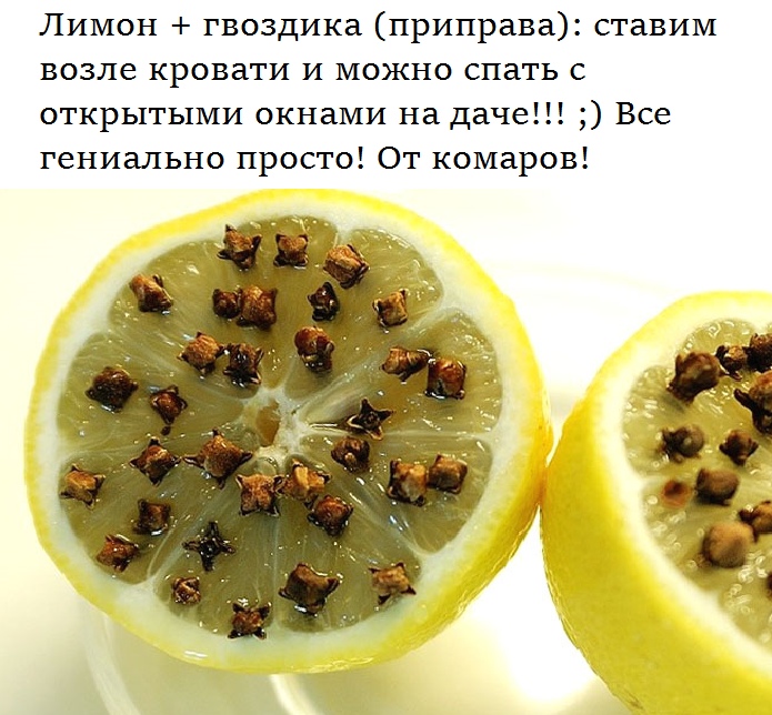 Лимон и гвоздика – отличное средство от комаров