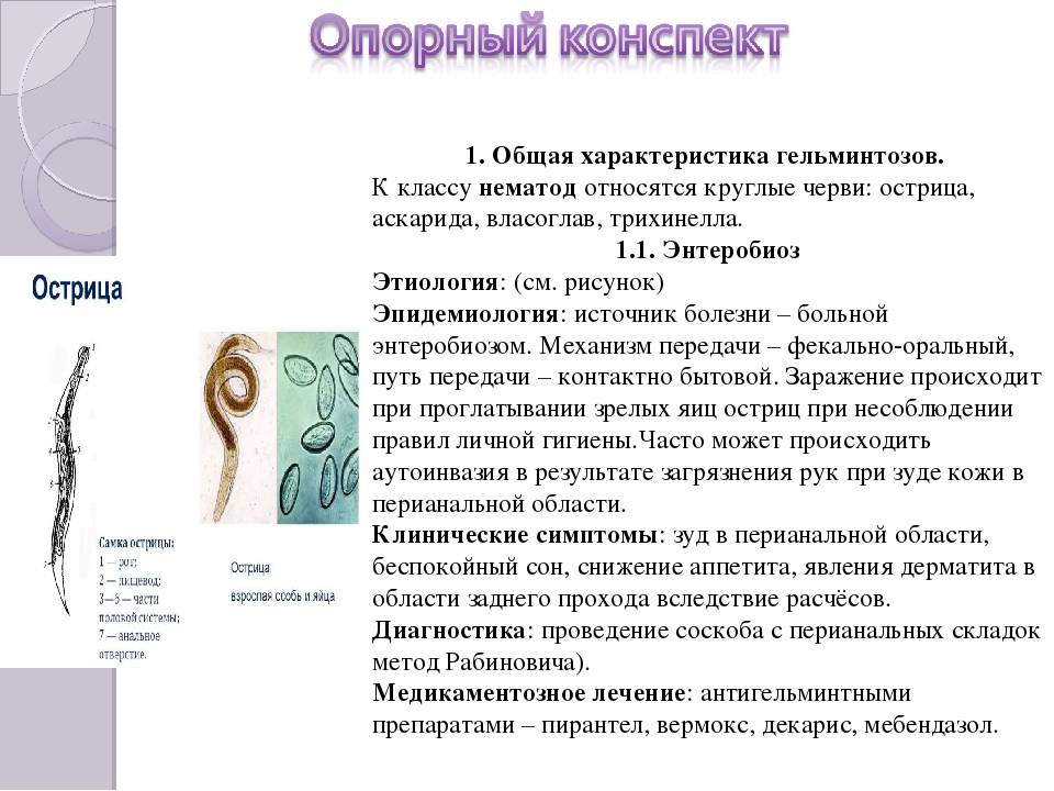 Энтеробиоз у детей - симптомы болезни, профилактика и лечение энтеробиоза у детей, причины заболевания и его диагностика на eurolab