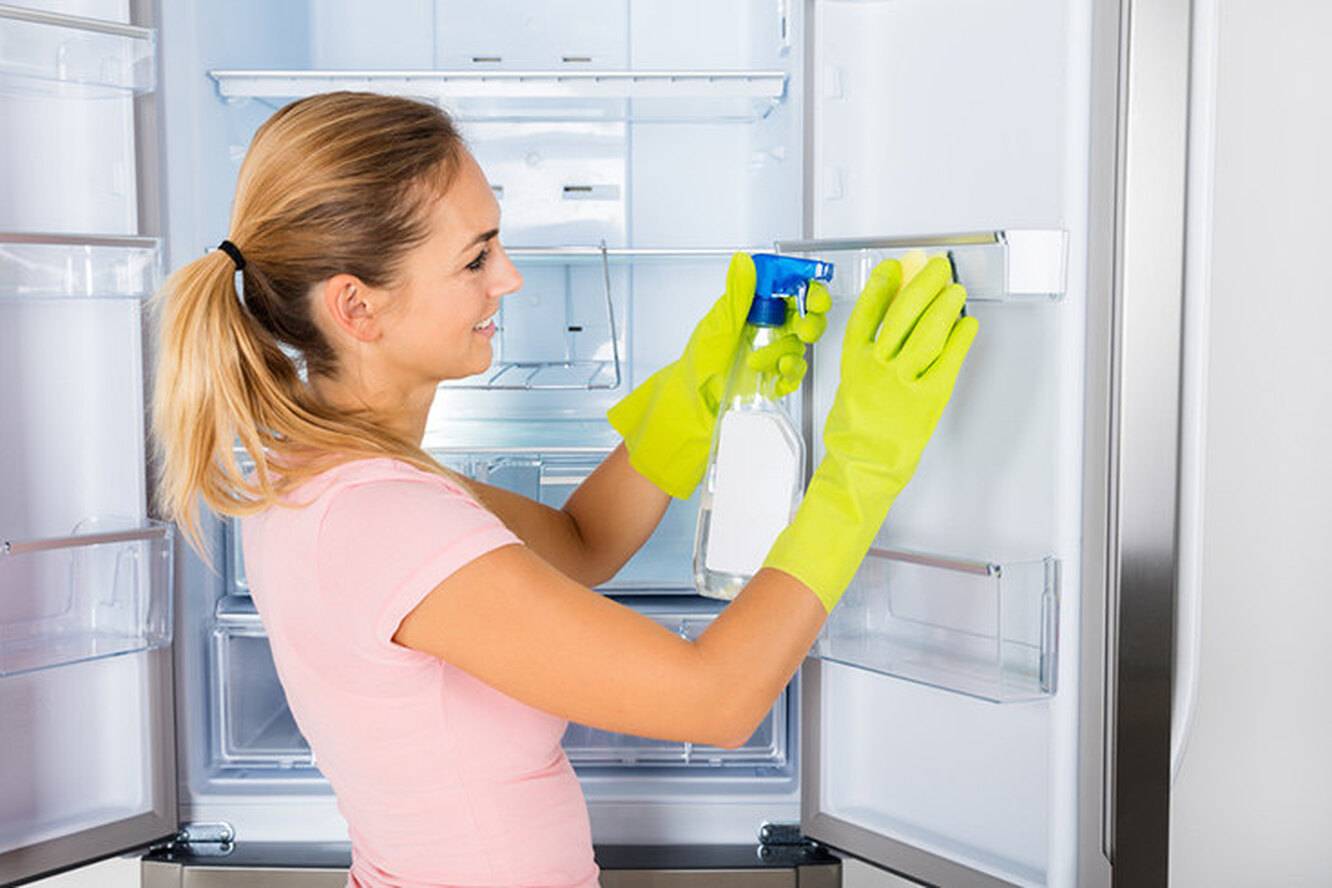 Как избавиться от плесени в холодильнике, борьба с грибком, с помощью чего можно вывести неприятный запах