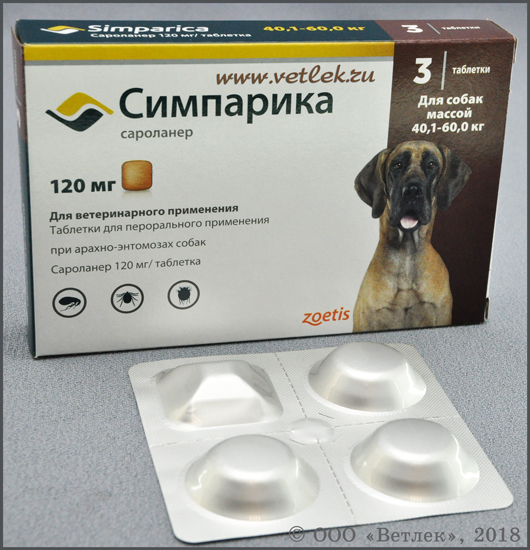 Как принимать таблетку Симпарика для собак?