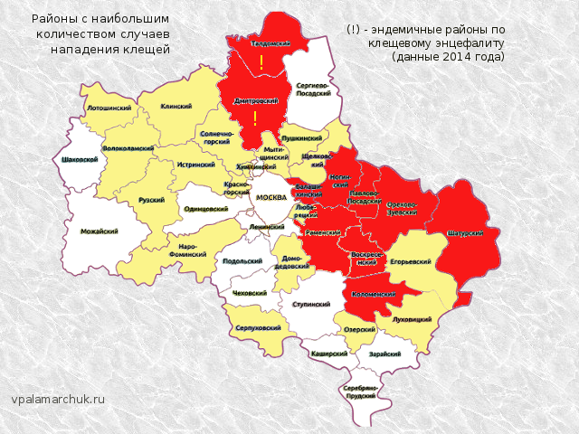 Карта клещевого энцефалита московская область