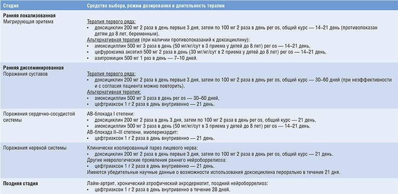 Доксициклин схема приема при боррелиозе