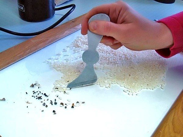 Как избавиться от мошек на кухне в домашних условиях