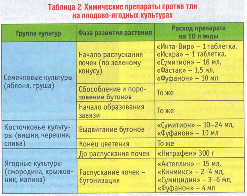 Схема защиты яблони от болезней и вредителей