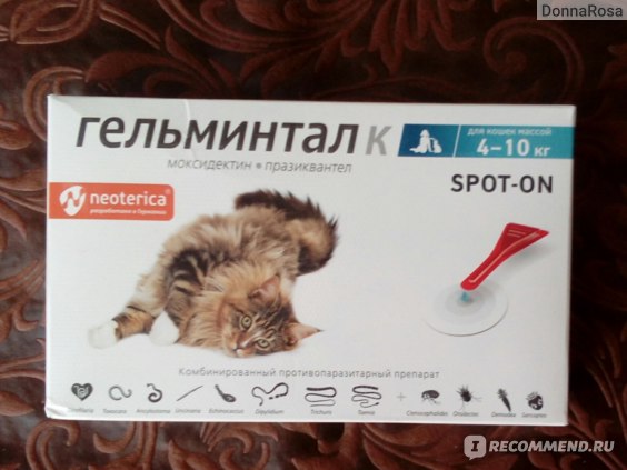 Суспензия от глистов для кошек, капли на холку от гельминтов – обзор препаратов, как давать лекарство
