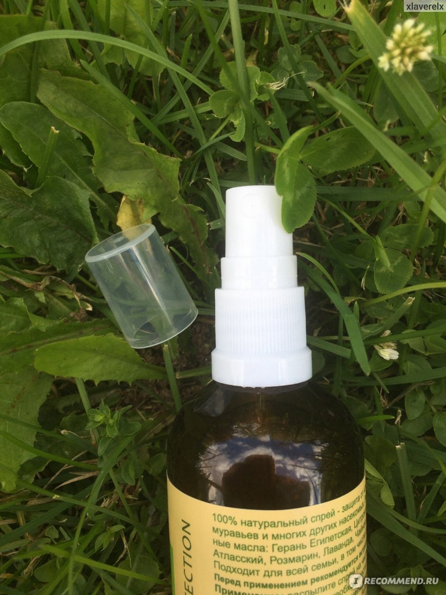 Эфирное масло цитронеллы (мелиссы) - свойства и применение | ароматы и цветы для здоровья-красоты