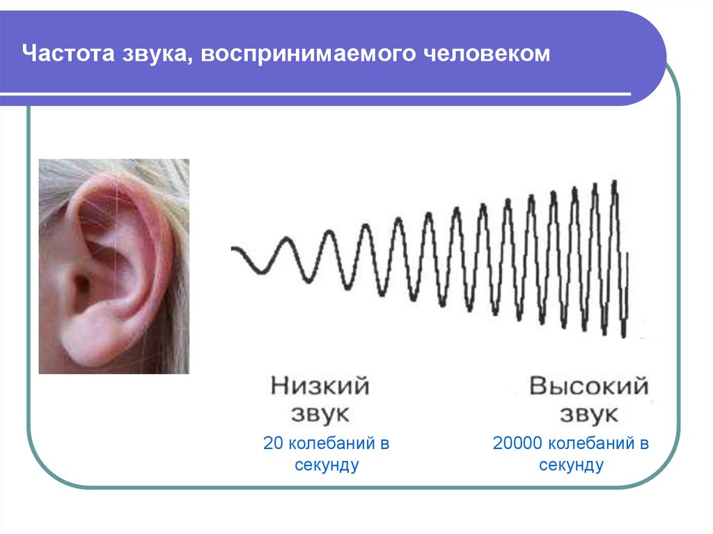 Влияние различных звуков на слух и эмоциональное состояние младших школьников