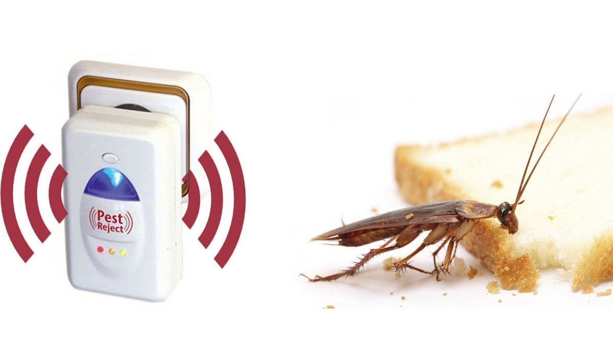 Отпугиватель тараканов ультразвуковой – отзывы, марки, принцип действия.