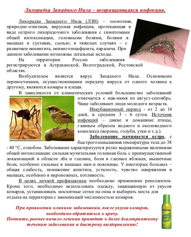 Лихорадка западного нила | eurolab | инфекционные болезни