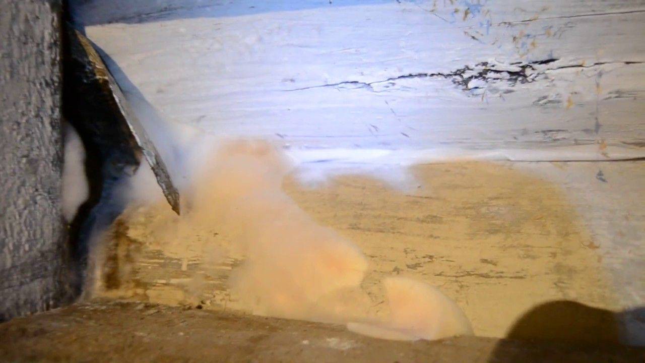 Как избавиться от грибка и плесени в бетонном подвале или погребе