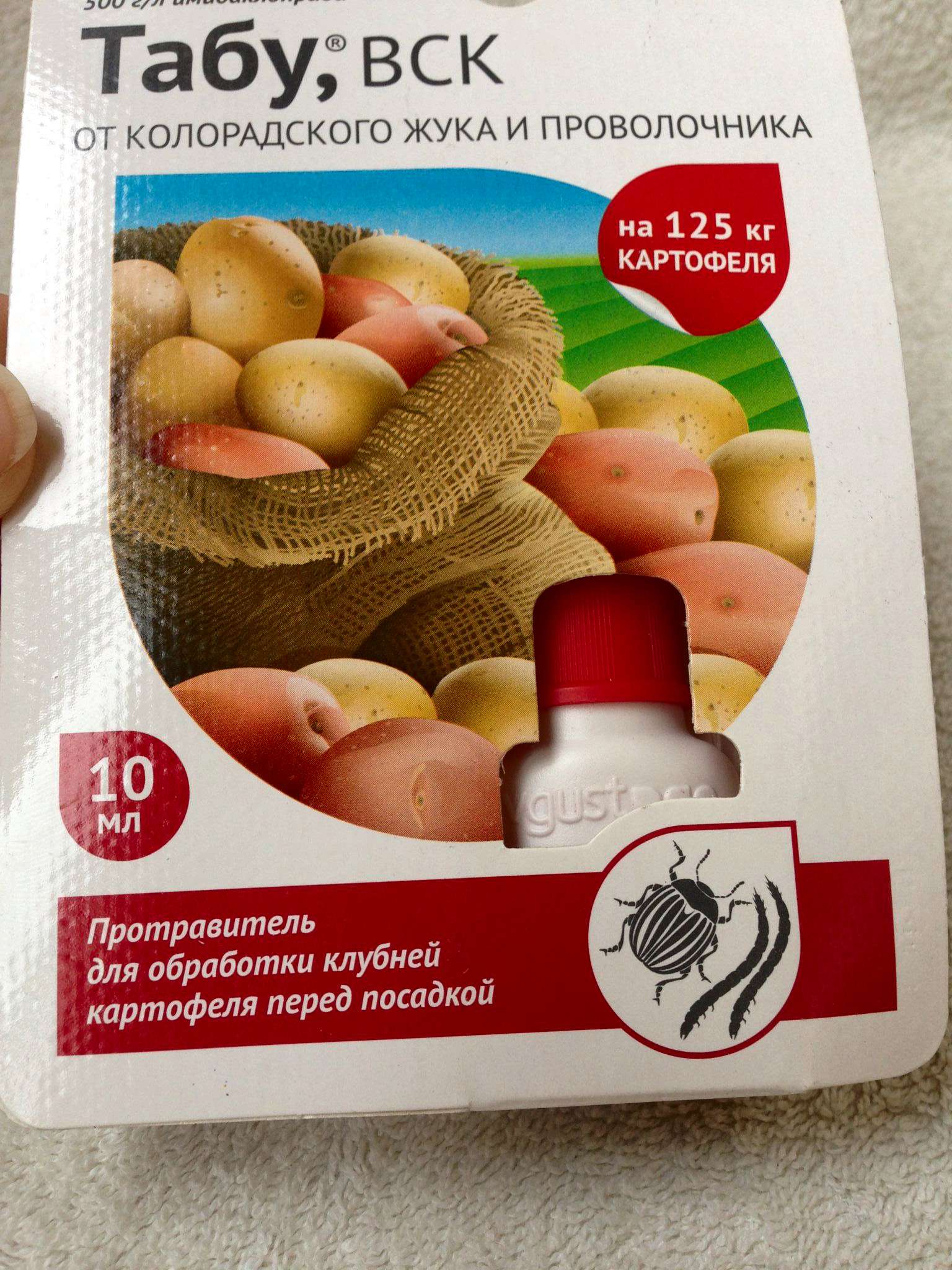 Правильная обработка картофеля перед посадкой — ботаничка.ru