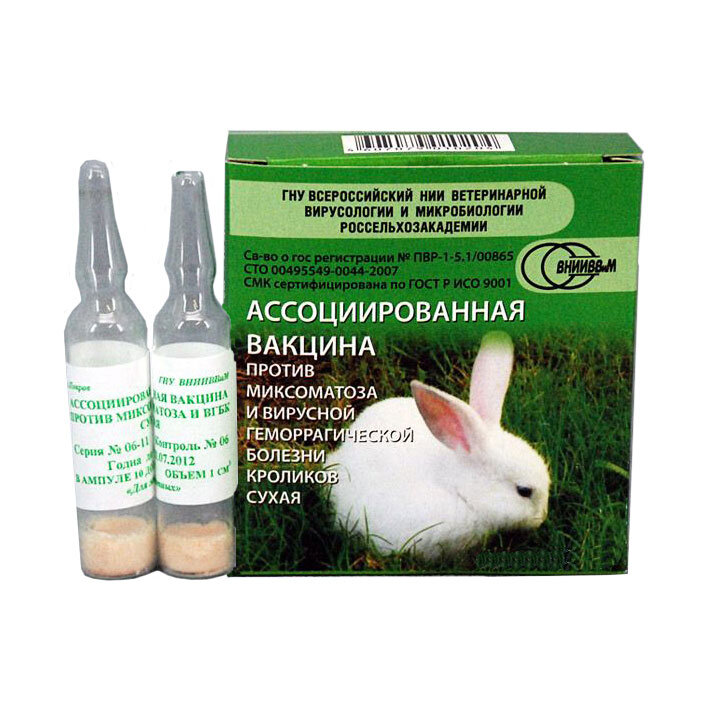 Вакцинация кроликов: какие и когда делать прививки в домашних условиях