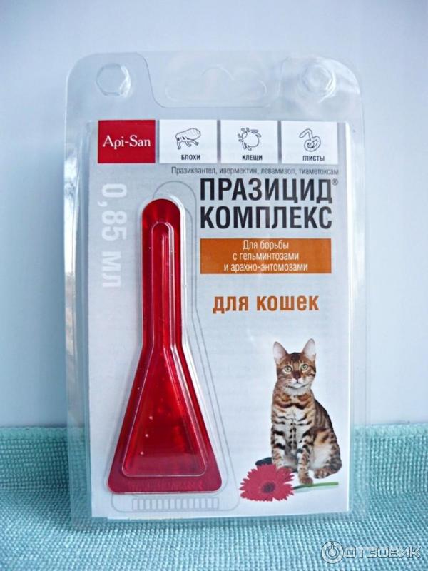 Липолитики для похудения - что это такое?