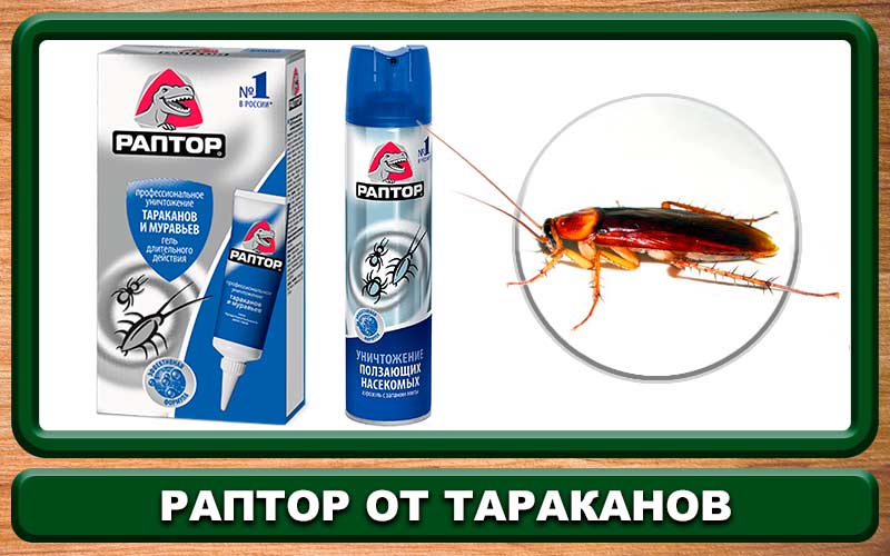 Поможет ли от тараканов комбат