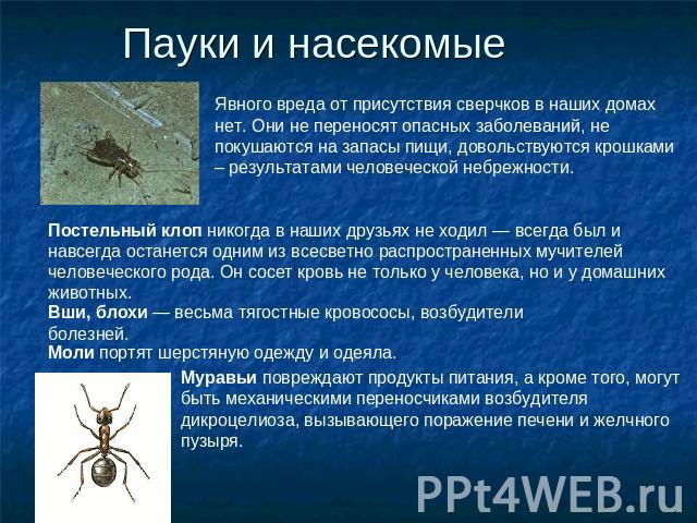 Какие заболевания переносят тараканы?