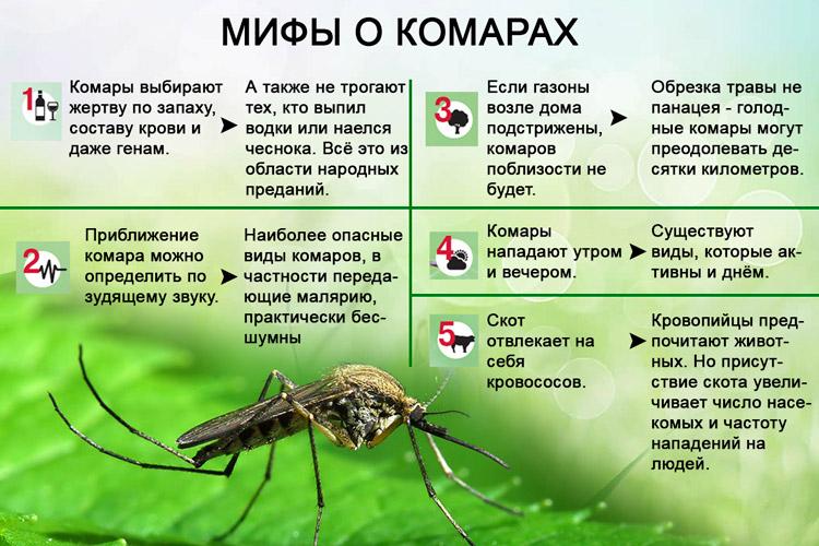 Молочница у беременных: почему она возникает и как ее вылечить