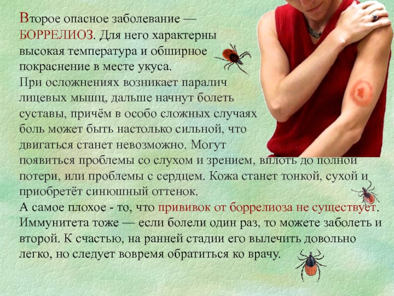 Передается ли болезнь лайма – dez service