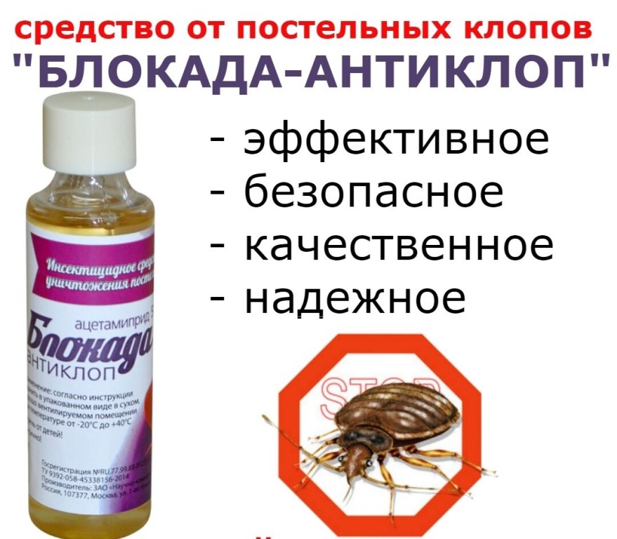 Proklopov.ru. 10 препаратов для самостоятельной борьбы с постельными клопами в домашних условиях