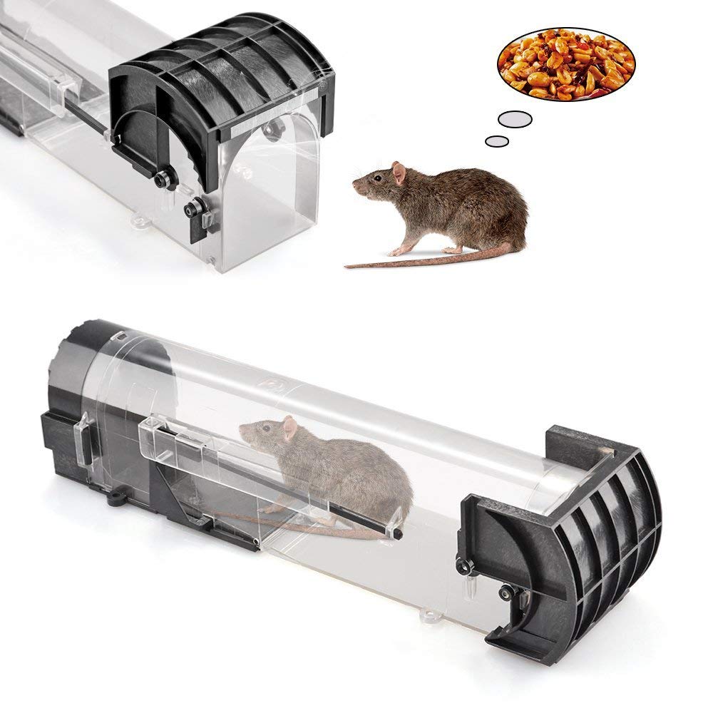 Best mouse traps that works for home, kitchen and garage