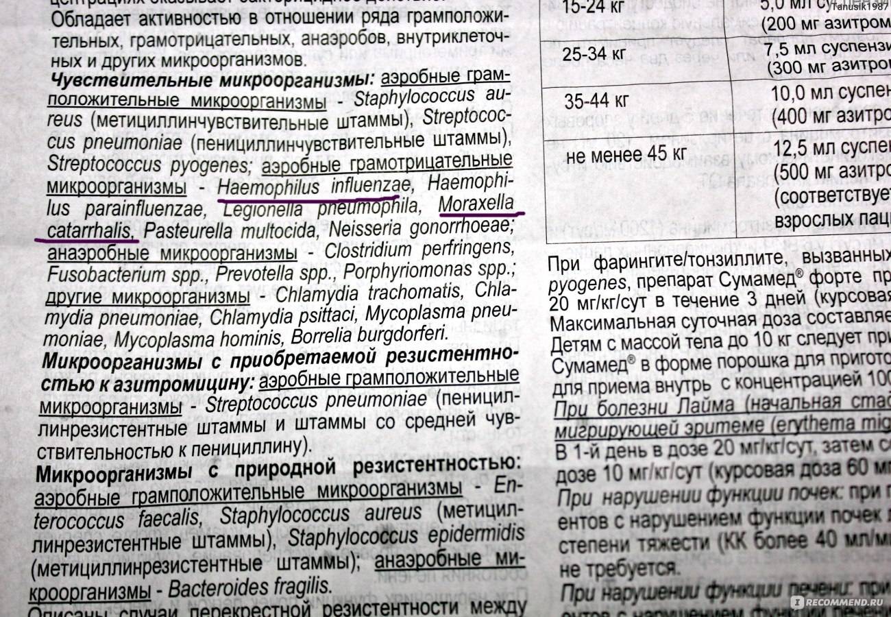 Доксициклин при укусе клеща: состав препарата, его дозировка и противопоказания. | parnas42.ru