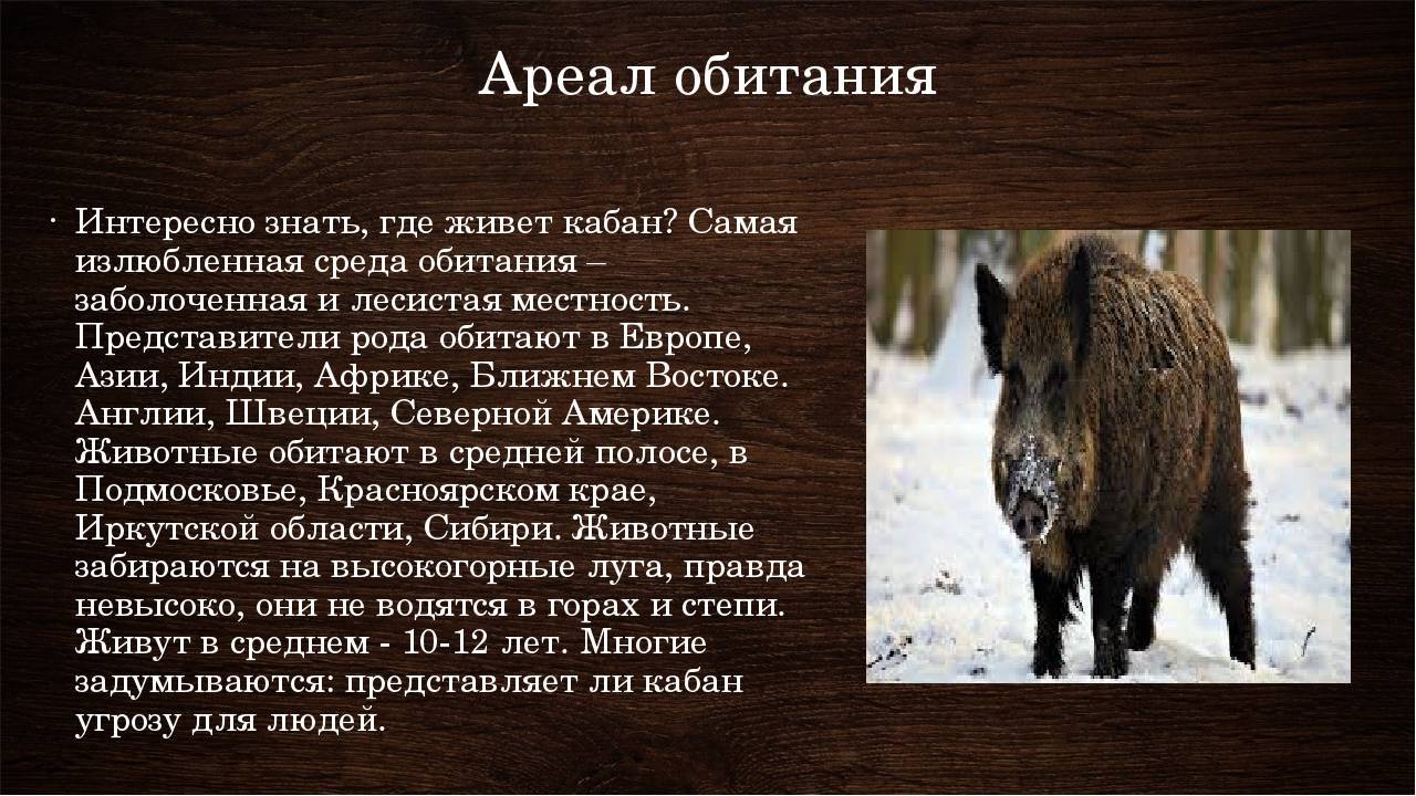 Болезни после укуса клещей | университетская клиника