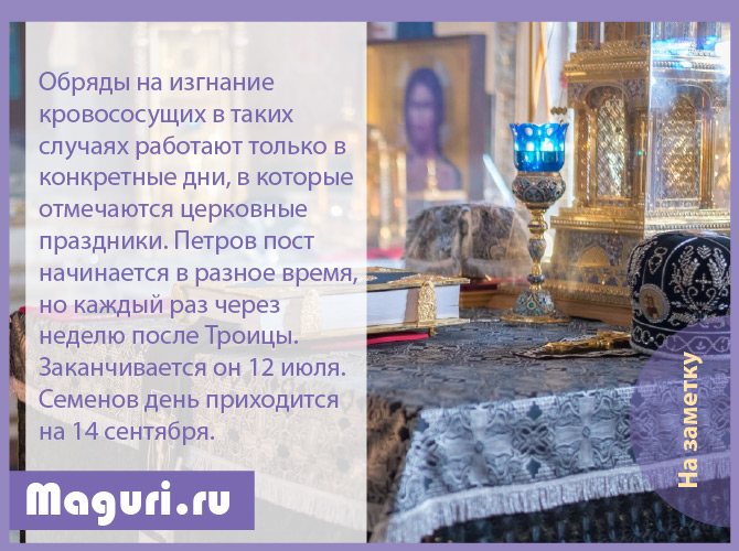 Заговоры и молитвы от клопов в квартире: ритуалы и обряды, помощь сибирской целительницы