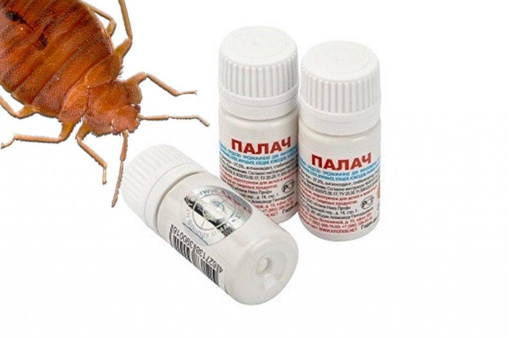 Народные средства от клопов: что точно поможет, как вывести насекомых в домашних условиях быстро
