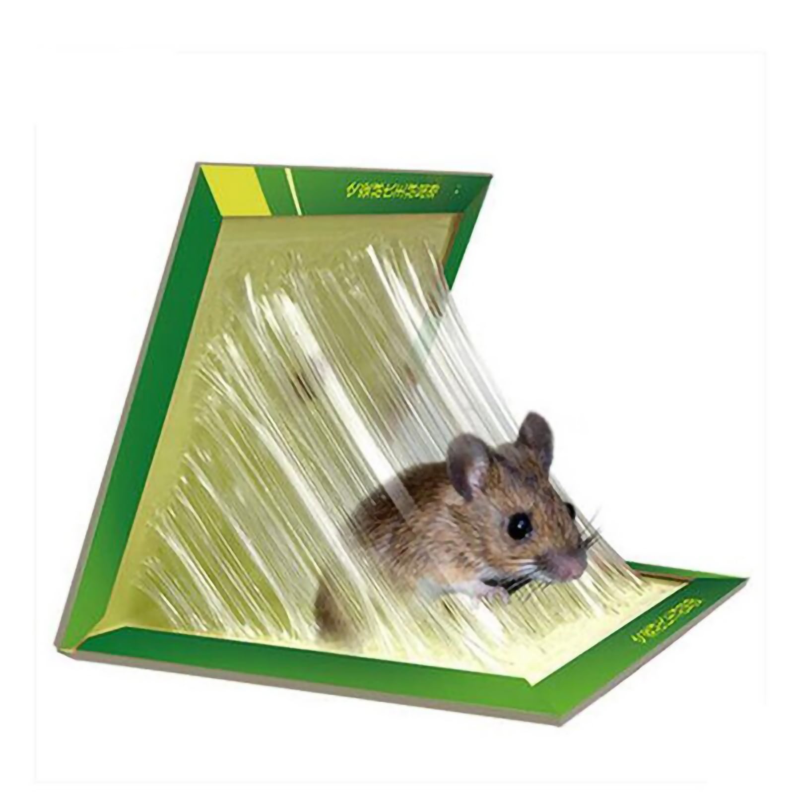 Средства от мышей и крыс, обзор эффективных препаратов и ловушек