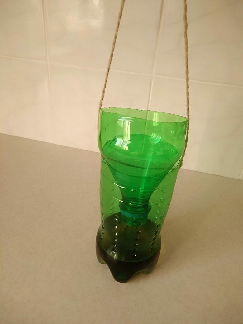 Ловушка для мошек из пластиковой бутылки своими руками | рутвет - найдёт ответ!