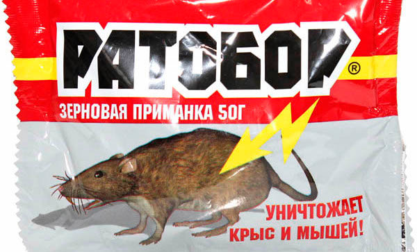 Как выбрать самый эффективный яд для крыс