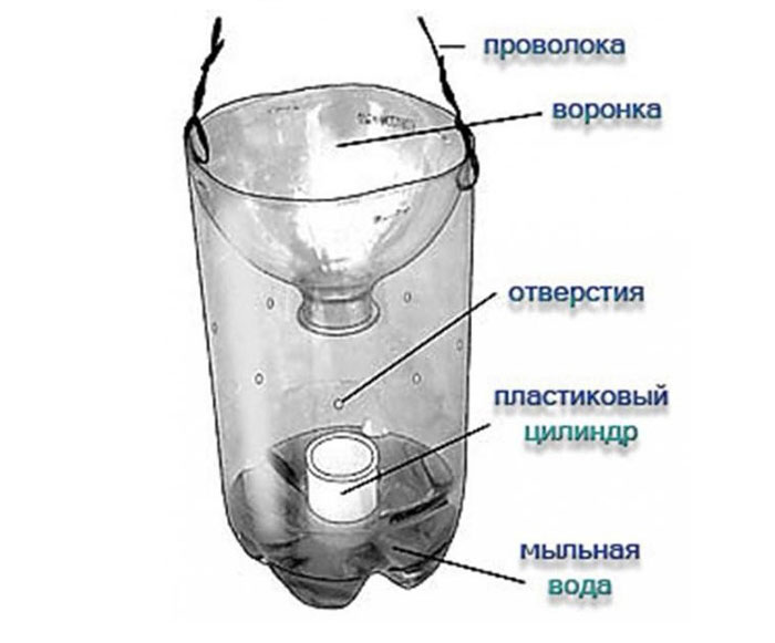 Крысоловка своими руками из пластиковых бутылок схема