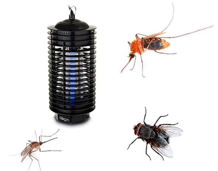 Как бороться с мухами в частном доме